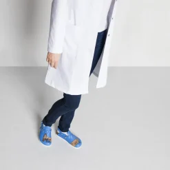 Best Birkenstock Kay Sl Dog Blue Background